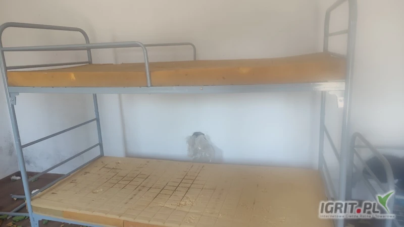 /images/posts/2025/06/2027507/d6afhSKj8QBDfWhdTpjoQP2NjqcQtP8aR2x5MYMk.jpeg