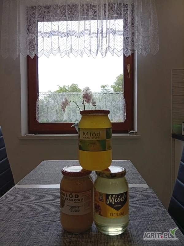 /images/posts/2025/06/2027577/esdugz6L0s8R1BQTTIksiL5c9SL321JGmJLdKWnw.jpeg