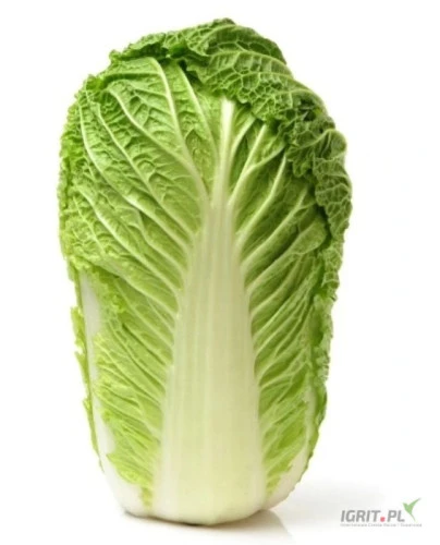 /images/posts/2025/01/1956942/JqIYsHJfpii1TENWUKPQnpVvidTkStL2mNw8XM2J.jpeg