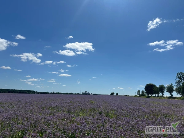 /images/posts/2025/06/2027679/obbfJJuYitCUf4j9Po9e4d5W58x6XLB7rKbX6I8k.jpeg
