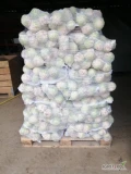 Sprzedam seler kal 0.5-1kg myty 