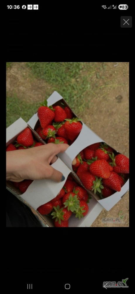 /images/posts/2025/06/2027695/M9nEjzi3cw8ammB4fVNTdQs2kKSUwngO6Grwfdkw.jpeg