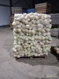 Sprzedam seler kaliber 400 do 900g 
