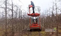 W chwili obecnej pozostało 9 osób gotowych do podjecia pracy przy cięciu sadu, pracach pielęgnacyjnych, sortowni, magazynie itp. ...