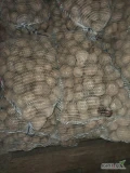 Sprzedam ziemniaki paszowe pakowane w worki 15kg cena 3zl worek.