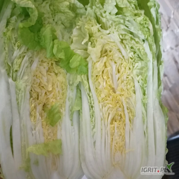 /images/posts/2025/05/2014319/TGILrlHdoqLPctkgnjwgMMPIwOm1yFnGXmwVlhT7.jpeg