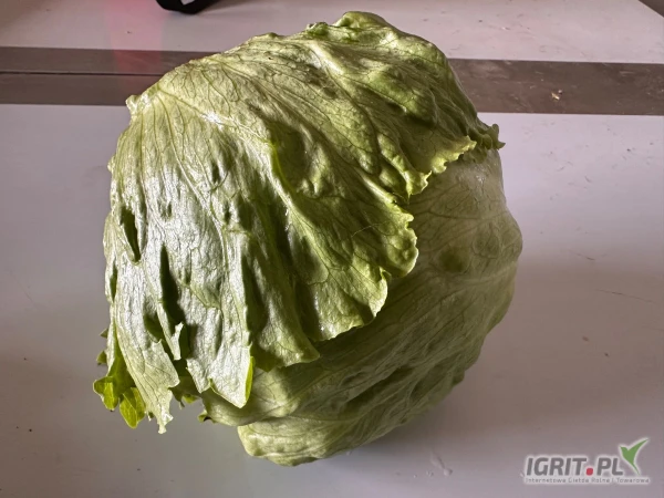 /images/posts/2025/06/2027894/LWnXaaQVOrNIr9MtxhMWE62ON46Oo7XVXn0aG1o4.jpeg