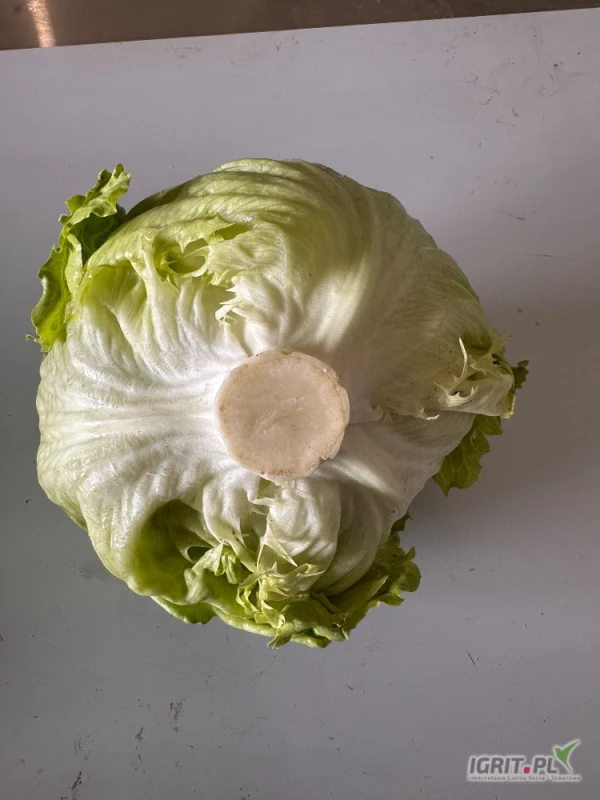 /images/posts/2025/06/2027894/DBaWX9ERKbsN2hVKN5RyOPQI2EmJ8ZFQtoZanryB.jpeg