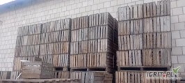 Witam sprzedam skrzynki jedynki ilośc 1500 sztuk