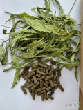 &nbsp;dodatki paszowa ziola&nbsp; rumianek oregano melisa mięta babka płesznik i inne&nbsp; w postaci granulau pudru fiksu sieczki ilości hurtowe
