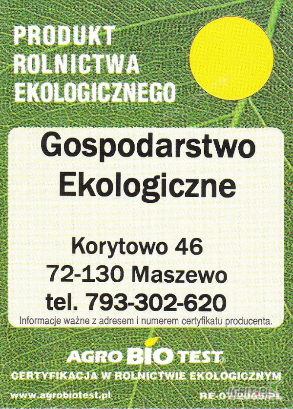 /images/posts/2025/06/2027957/ZvySRkJSyIQOItF7r1UifgDHoPkQouiZHCctzuUO.jpeg