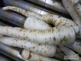 Sprzedam pietruszke jak na zdjęciu. Możliwość umycia
