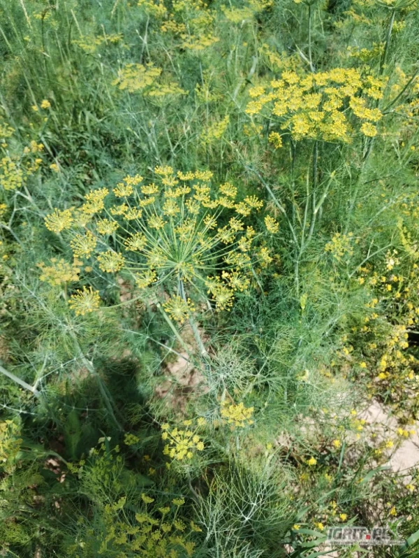 /images/posts/2025/06/2028049/eH62qhgbUdvmuAQZof8zplyzD80Uzag8HCGrriK3.jpeg