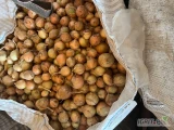 Sprzedam cebulę kaliber 5 plus po obcinarce sucha mocna łuska ilości tirowe lub mniejsze big bag lub worek15 