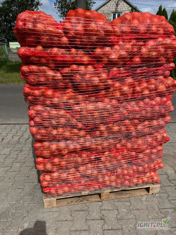 /images/posts/2025/06/2028074/3HWJIkUWWvZ5qF0X35dJUK38Ab1x8bhQH4Taltyx.jpeg
