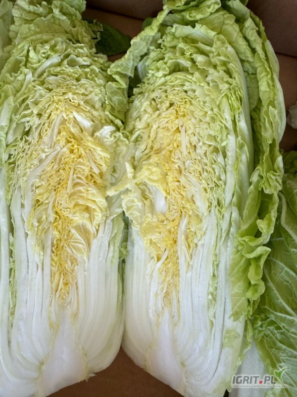 /images/posts/2025/04/2003839/6U3g0kTsyw5R0JX01cvGkfS34zl6TkoJ83jwcWJf.jpeg