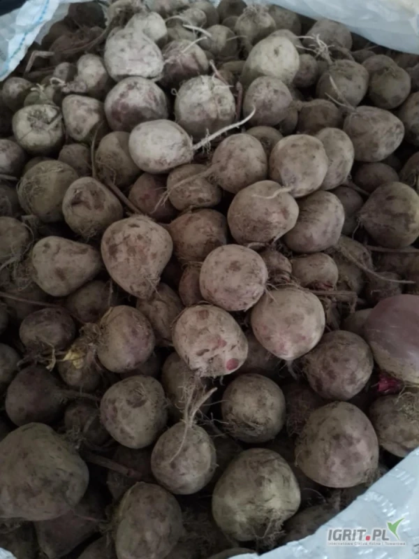 /images/posts/2025/06/2028123/VvRsuJFaTf9sgae1XiotPGMejUEsVu1a57MZH8BS.jpeg