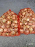 Sprzedam cebulę zimową worek 15 kg