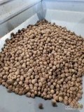 sprzedam burak monty drobny kal.25-45 ilość 25-30t. bigbag,luz,worek10kg na brudno lub myty, faktura vat