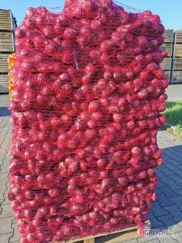 /images/posts/2025/06/2028242/Gk0lPhZGv34A03sFskQR52MTWS2VTUxHsnJ7Ru9H.jpeg