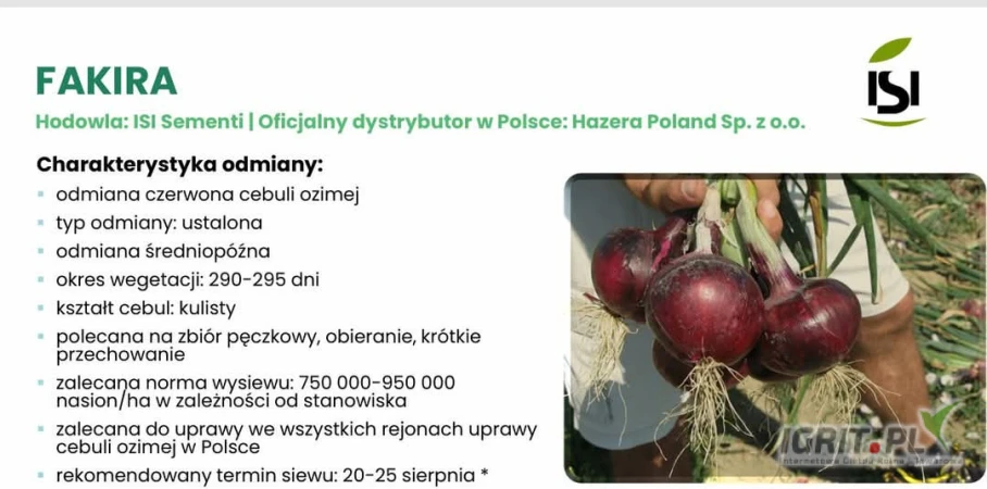 /images/posts/2025/06/2028343/dyZpRgl1AdvISyLtG4dys1xLcCnF2BbBS0n5Kvo7.jpeg