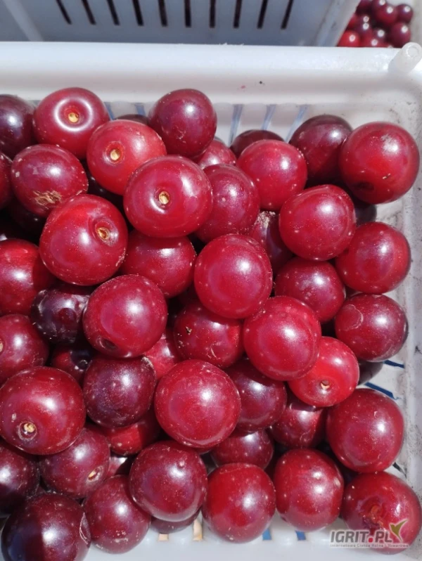/images/posts/2025/06/2028461/n8369nK8DHqvpVNLATHOL1QfiwWrHMLS74Iegd6h.jpeg