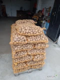 Witam posiadam na sprzedaż ziemniaki typ sadzeniak odmiana Tajfun 580 kilogramów.