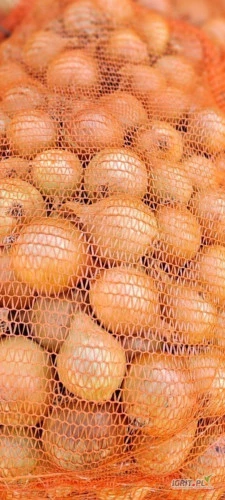 /images/posts/2024/08/1900162/jDEiAeEE13o30T0jklKGDcbAYrC08j9CCgawlUEV.jpeg