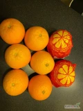Pomarańcza Import EGIPT 
