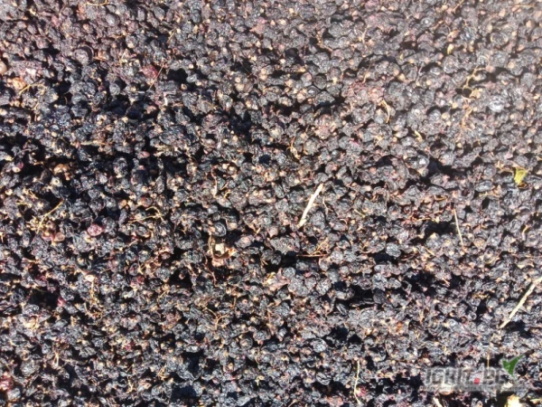 /images/posts/2025/07/2028739/k5VlNUqo31czBzI762KG7r57e4XcSUunuwIWNYIA.jpeg