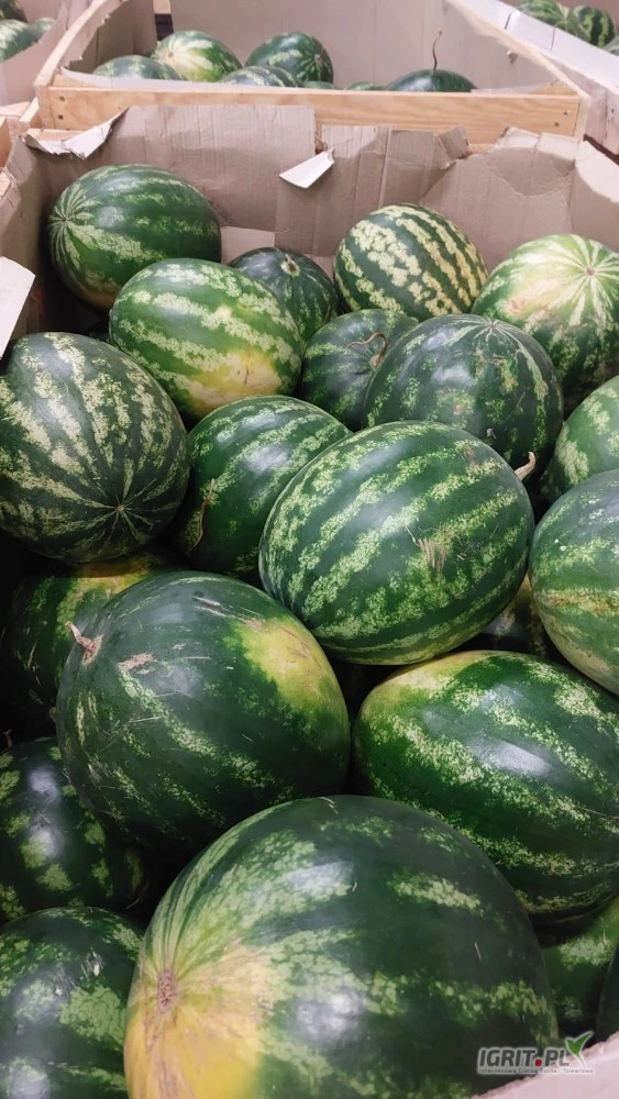 /images/posts/2025/07/2028920/79VYOkvYDKtItRVh3KGVP8B14uGCcNi4w7vkEwZa.jpeg