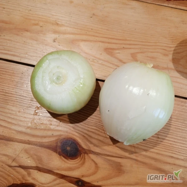 /images/posts/2025/07/2028978/Nn1ExJvyLseQmqXEQTAHNpTT1XgW4XnpdxD05bfG.jpeg