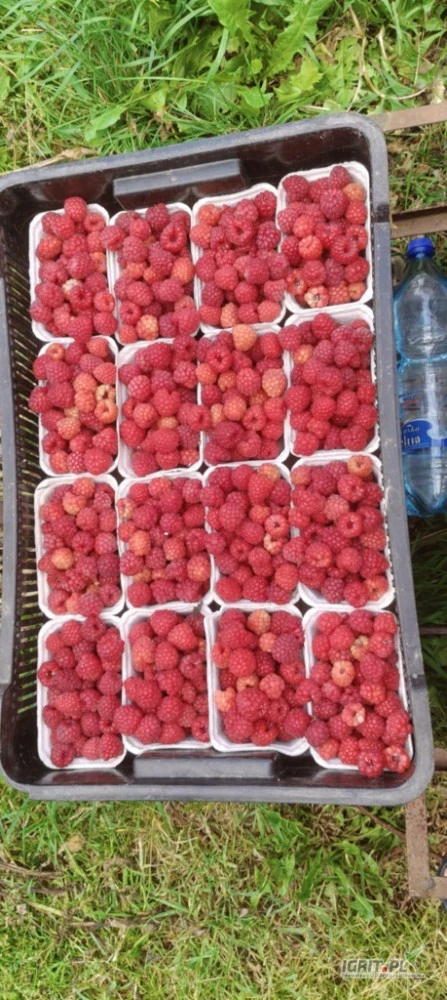 /images/posts/2025/07/2029044/MFHU8oofn2l7hpFQq5Vdv2O7oM6n41oNShxQaYEl.jpeg