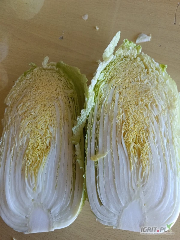 /images/posts/2025/07/2029177/U6eApHh61rrOiZyCM44WFfEaLsZGpBWXCPkBmF6E.jpeg