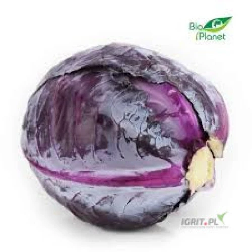/images/posts/2024/08/1901795/HVkcVOhFKDWLeEZcYcOGgzo8xh0ZMSunkbJJVOXD.jpeg
