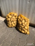 Sprzedam ziemniaki młode ( ukopę pod zamówienie) odmin riviera do 400 worków jednorazowo
