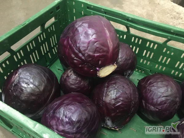 /images/posts/2025/07/2029382/Vo8qjGPe3av3GHXyoJN5Hs57oGgXmfH8Dqaea4tf.jpeg