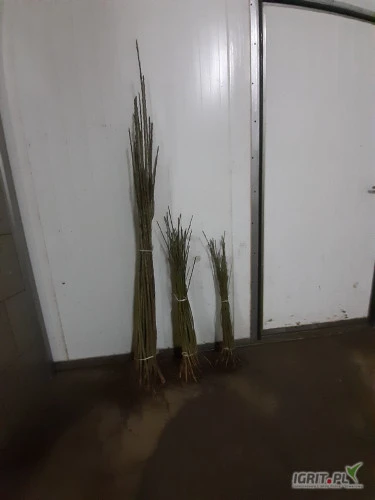/images/posts/2025/03/1991806/fSJMVtn1fKWATHCAnfHdARiW1JYW8IvjkK0FKrlX.jpeg