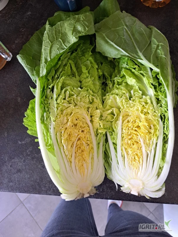 /images/posts/2025/04/2005539/JHrGNm9ZhbcLsOMn7XTiGs1QzABRGUarX6Y0tFQl.jpeg