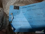 Sprzedam sadzeniaki kwalifikowane odmiany Queen Anna z hodowli firmy Solana,kaliber 30-50.Kontakt 502073735
