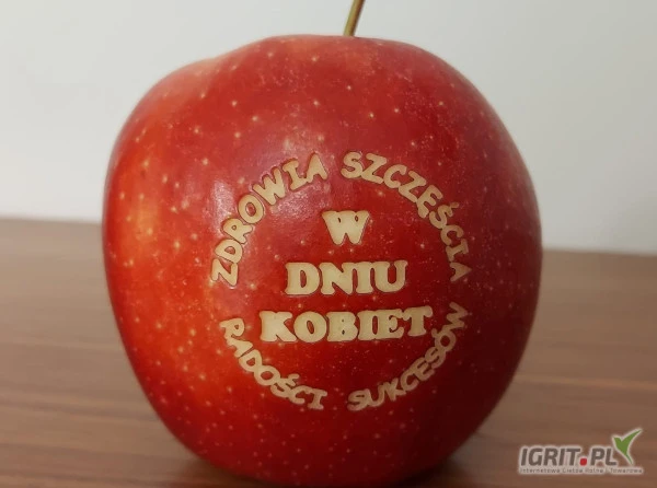 /images/posts/2025/02/1979600/xIutvw4gO9AdUCUIqUT68xaaKFrVO9l48O8I5gwr.jpeg
