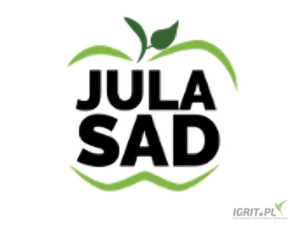 /images/posts/2025/07/2029614/ti6zgn1yLF6dTuuPhyG9Nn5t8fedwK57E0FuPo9v.jpeg