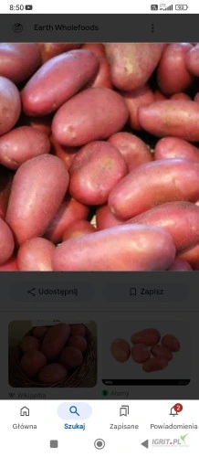 /images/posts/2025/02/1968646/FpUElh352xtDHifUI6gTbURR1SJNVohWBFPW0vNJ.jpeg