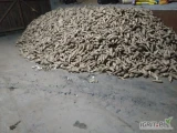 Sprzedam gruba pietruszkę ilość oko 20 ton.