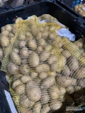 Sprzedam ziemniaki wczesne, opakowania dowolne (4-15kg) czyste z lekkiej ziemi
