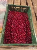 Sprzedam wiśnie rwane na zamówienie 10 zł/kg , będzie około 50 kg.odbior osobisty, zapraszam.