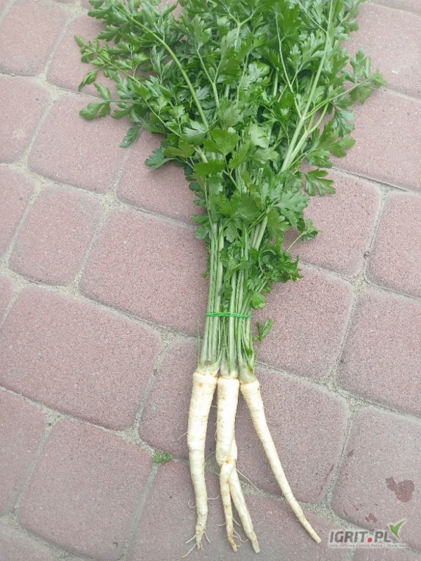/images/posts/2025/07/2029903/yDnHzVVRmBGa6Jho9zkOO9IYS9vUAGS4Oji4vkgj.jpeg