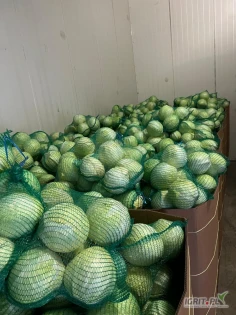 Kapusta biała 1,5-4 kg.

Kapusta czerwona market 1-3 kg.

 

Towar przygotowywany na świeżo.

Możliwość workowania - 10,15,20,25 kg!

 

Dobra jakość towaru, stałe dostawy, towar dostępny od ręki.

Zdjęcia towarów poniżej.

 

 

Więcej info telefonicznie.