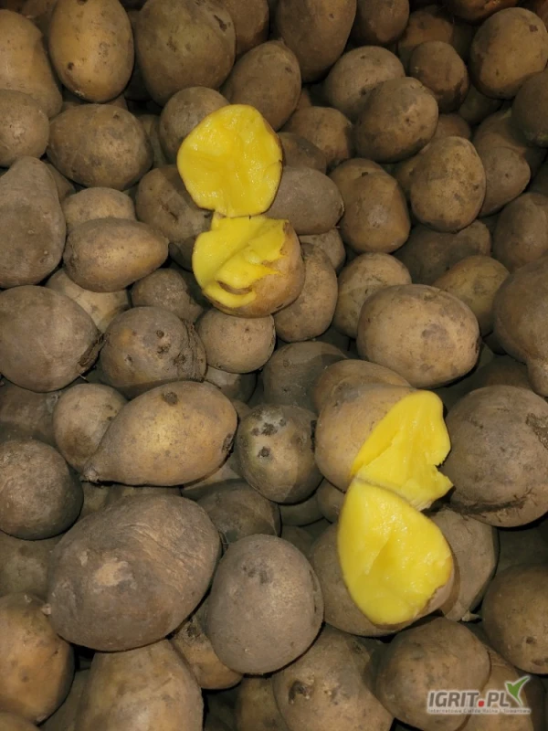 /images/posts/2025/07/2030053/Z2xomRLwPibPL1mMjdHh011pePCAiMBFXLJ6gohM.jpeg