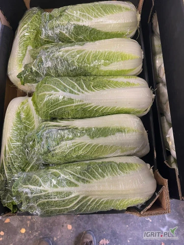 /images/posts/2024/12/1950946/u3zfWLC6uN4fmqSHw5yAt2IG2G2v7Uc6qJDfHUEJ.jpeg